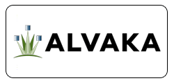 AlvakaNetworks2K19
